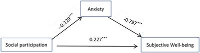 The impact of social participation on Subjective Wellbeing in the older adult: the mediating role of anxiety and the moderating role of education